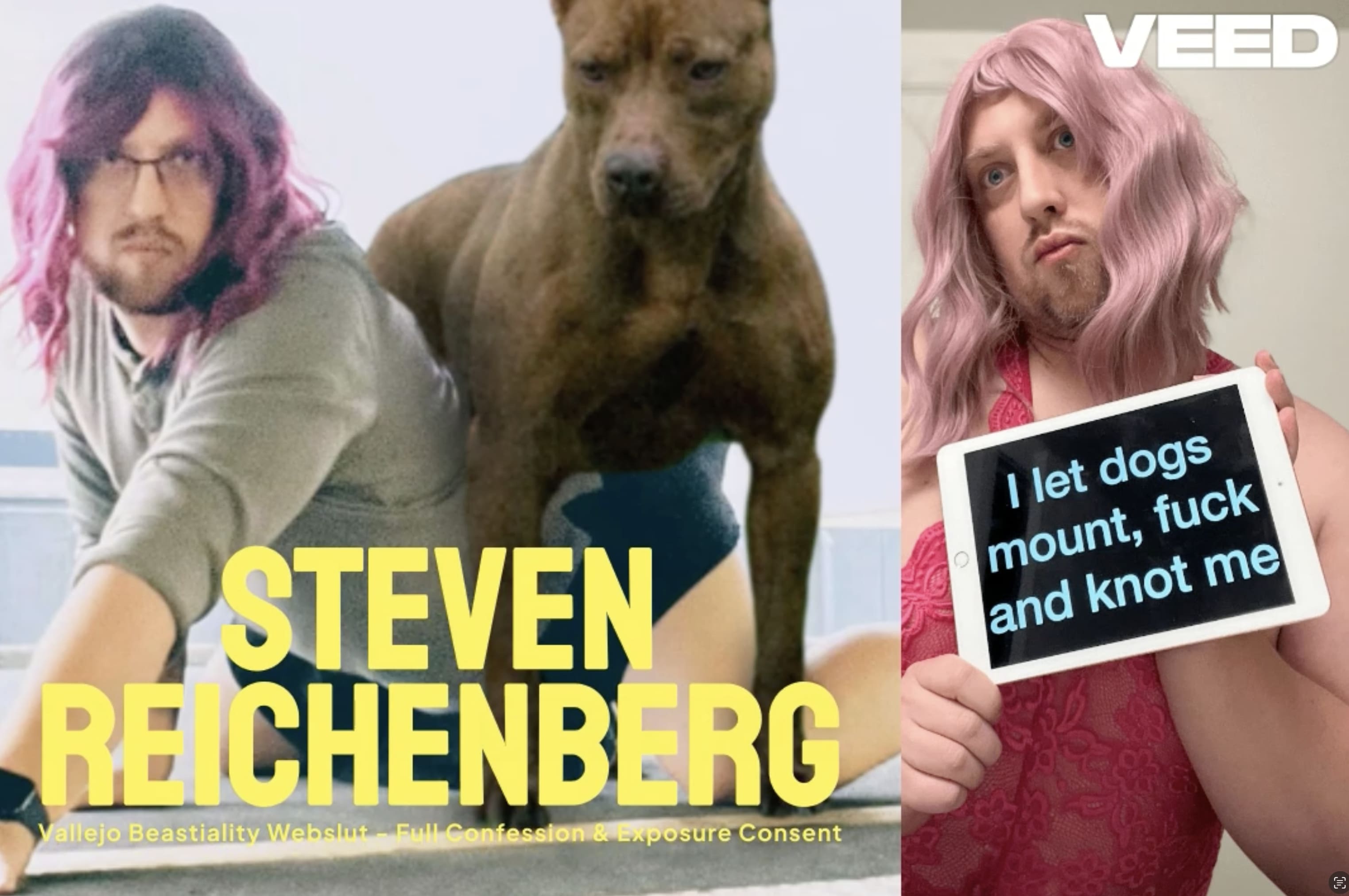 Steven Reichenberg